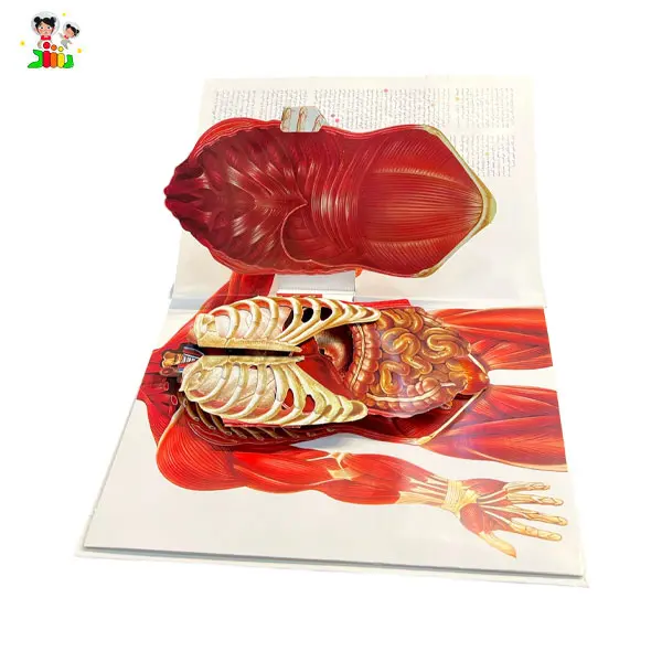 کتاب علمی آموزشی شگفتی بدن انسان جابیرو