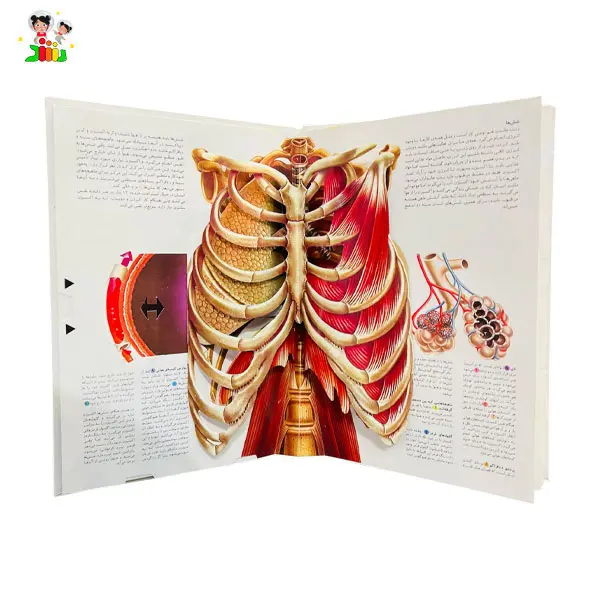 کتاب علمی آموزشی شگفتی بدن انسان جابیرو