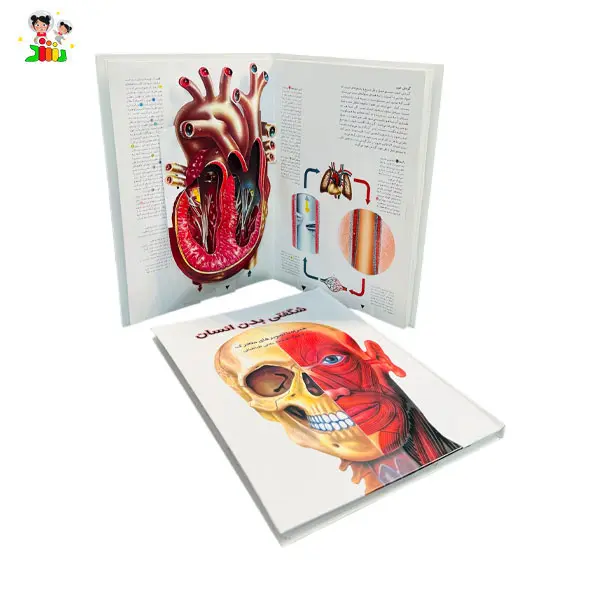 کتاب علمی آموزشی شگفتی بدن انسان جابیرو